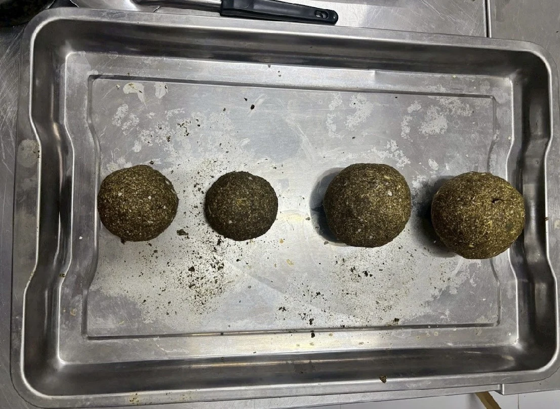 Prepared supplement balls placed on a tray